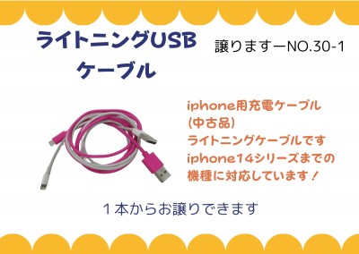 ライトニングUSBケーブル≪ものものバンク譲ります№30-1≫