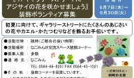 『１Fギャラリーストリートに アジサイの花を咲かせましょう』 装飾ボランティア募集≪8-15まちびとバンク≫