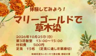 マリーゴールドで草木染