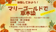 マリーゴールドで草木染